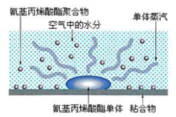 白化現(xiàn)象示意圖